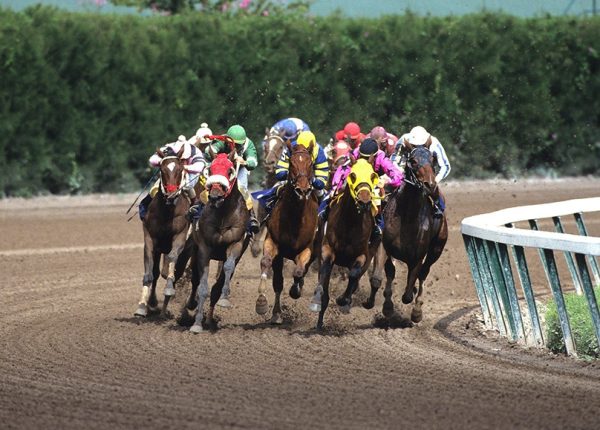 45a3f069031675.Y3JvcCwxMzQyLDEwNTAsMjksMA