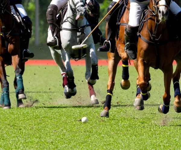 horses-polo-run-in-the-game-2026-01-08-22-00-27-utc